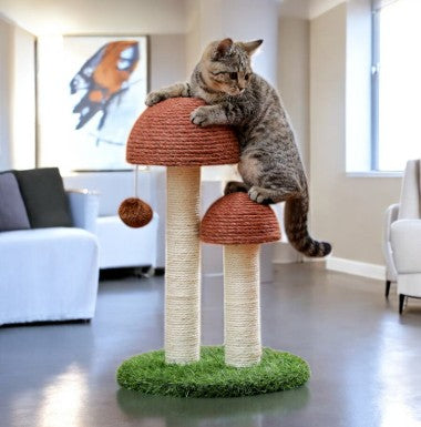 Petit Arbre à Chat Champignon Salon du Chat - 48cm