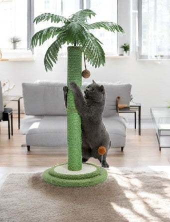 Petit Arbre à Chat Palmier Salon du Chat - 85cm