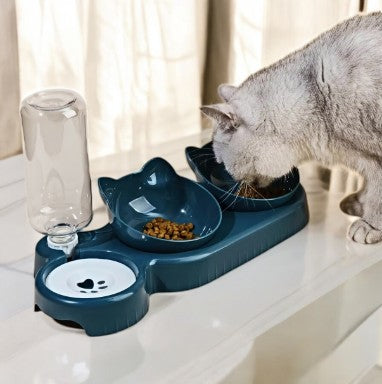 Gamelles Inclinées Avec Reservoir d'Eau Automatique Salon du Chat